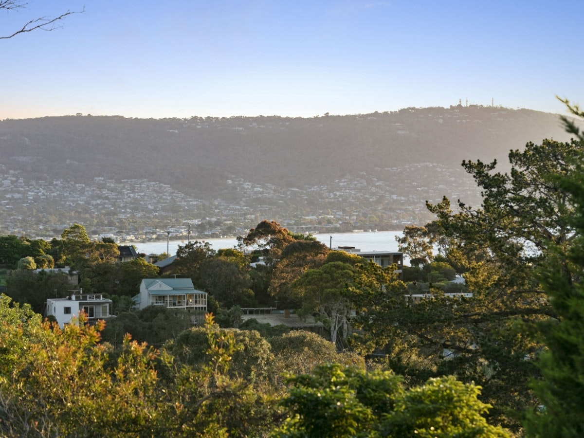 Image of vegetation