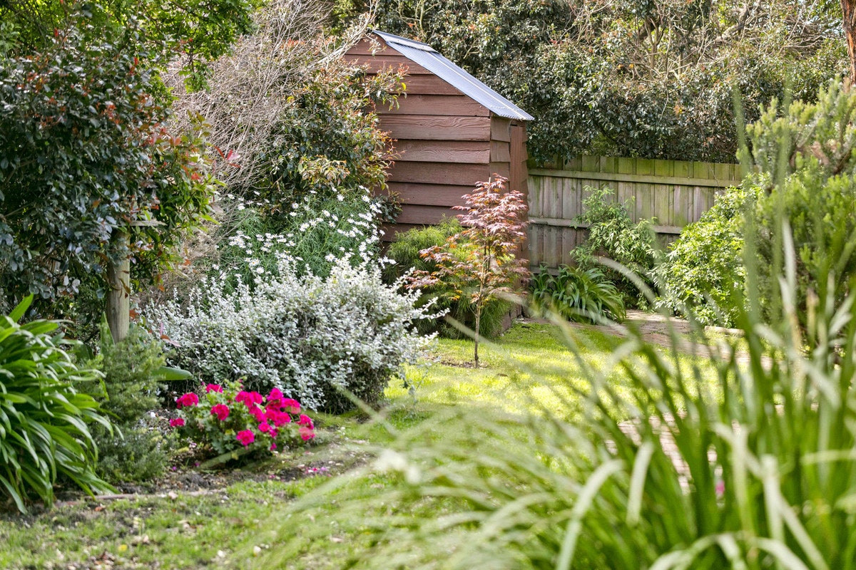 Image of garden