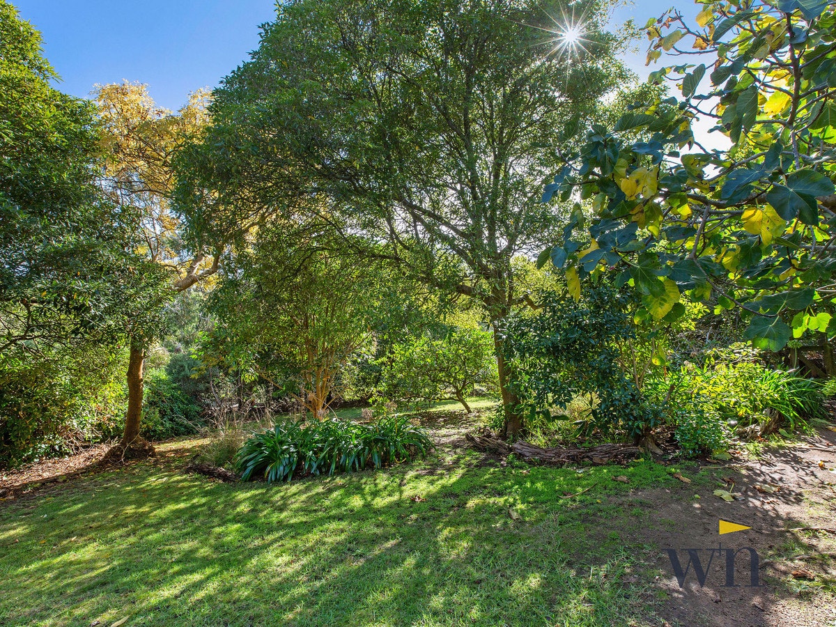 Image of vegetation