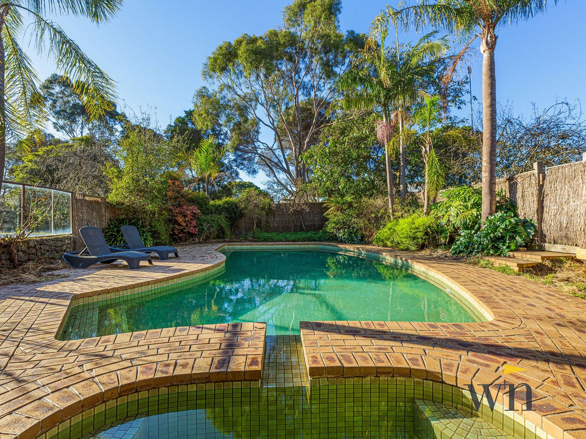 Image of backyard