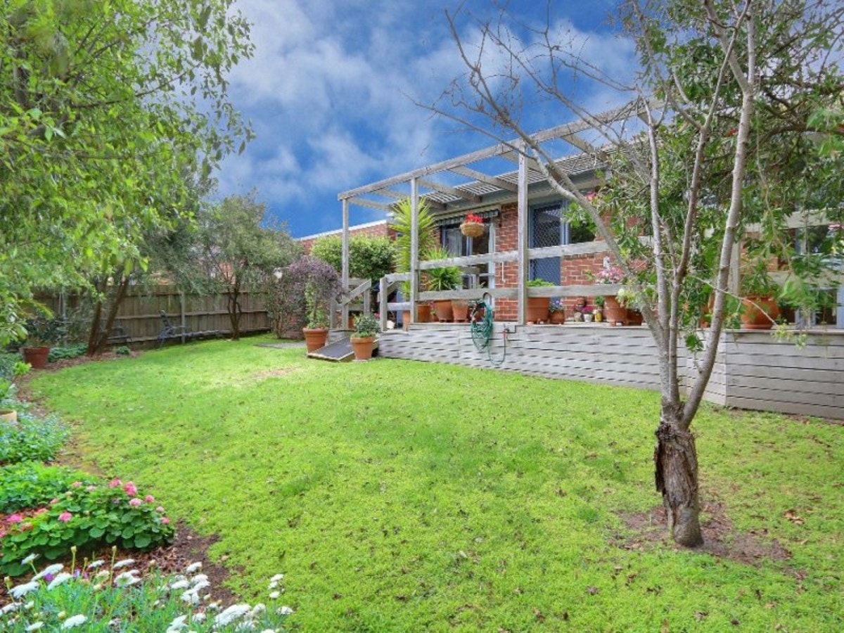 Image of backyard