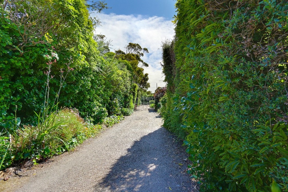 Image of path