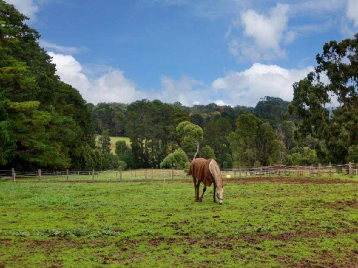Image of countryside