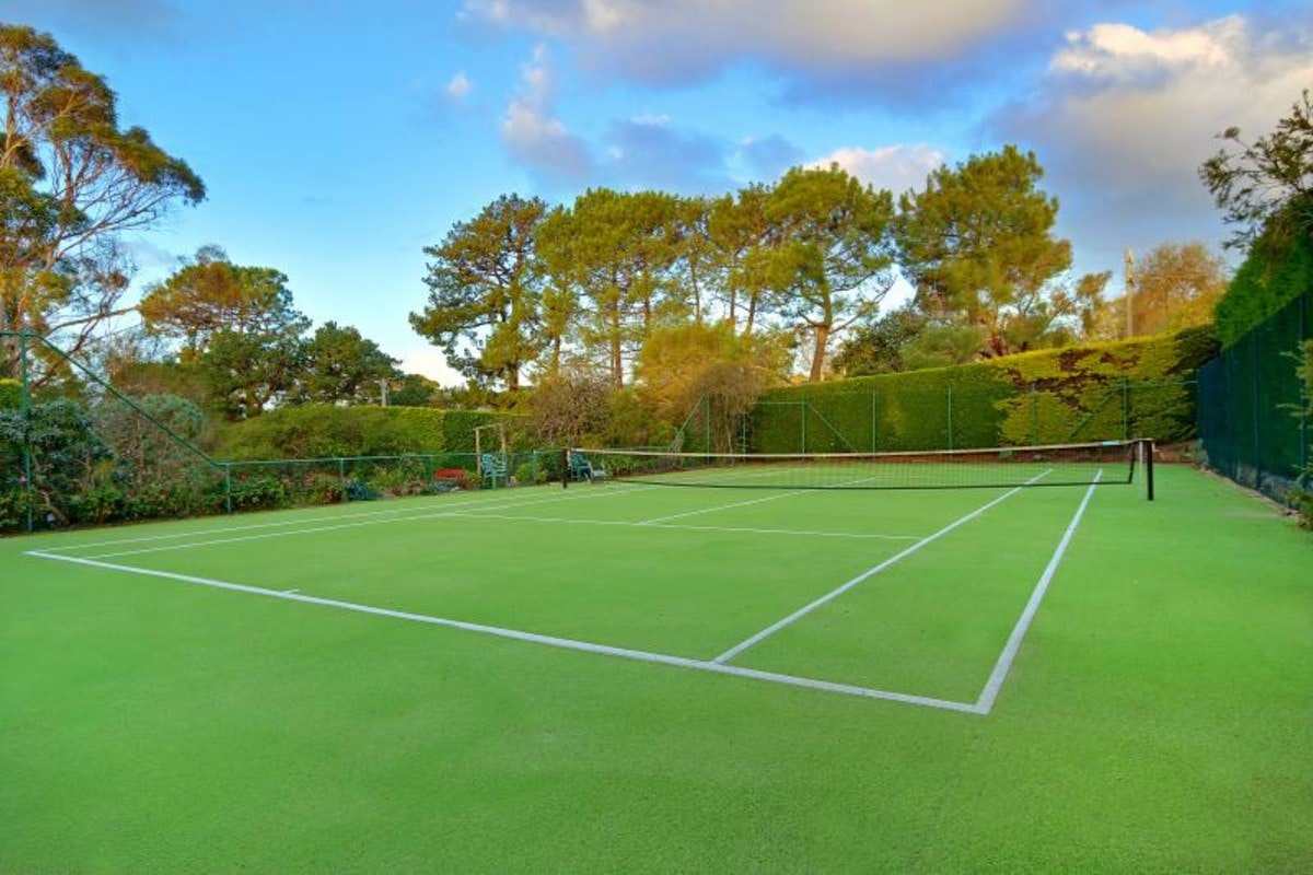 Image of sport