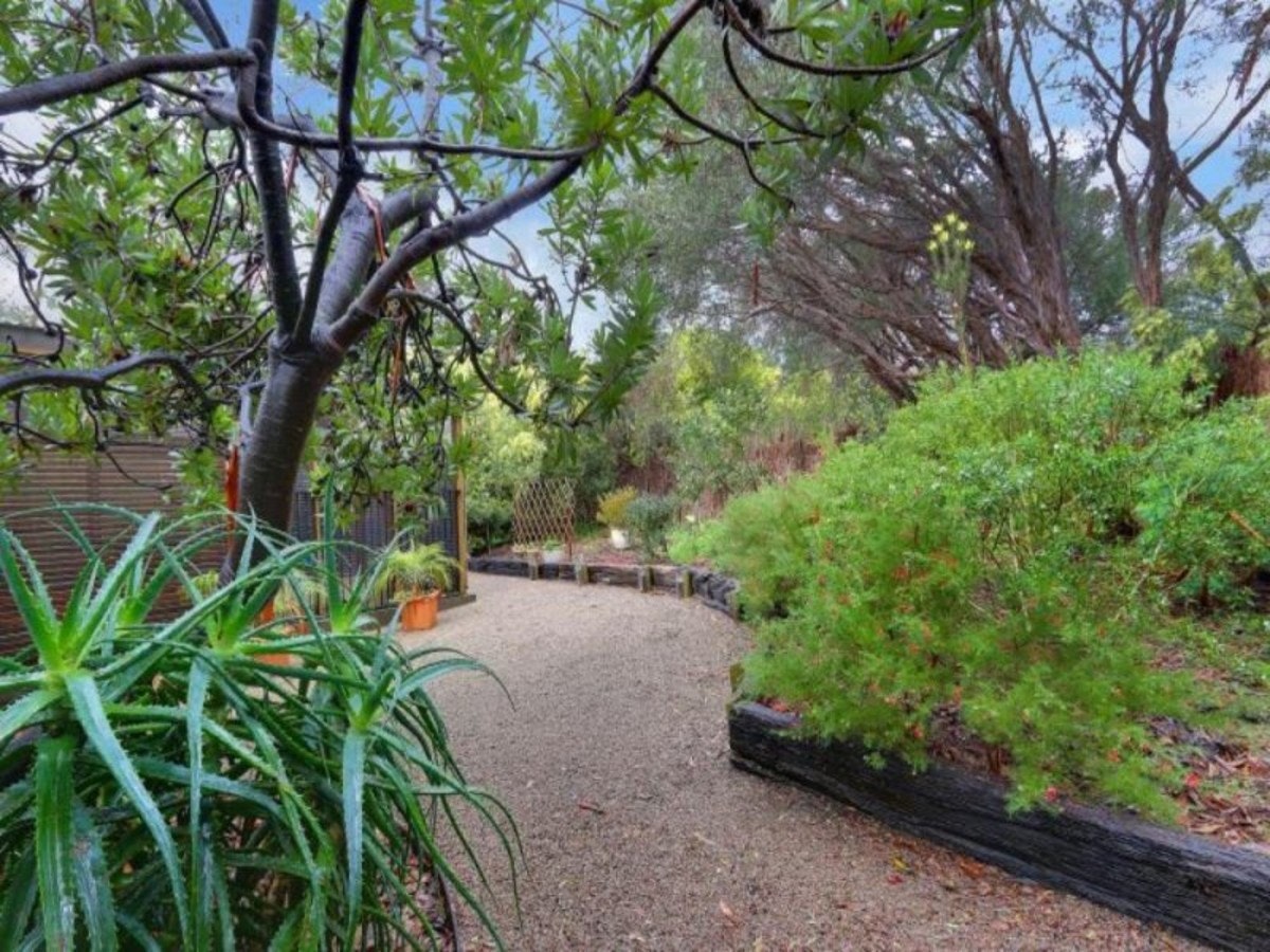 Image of vegetation