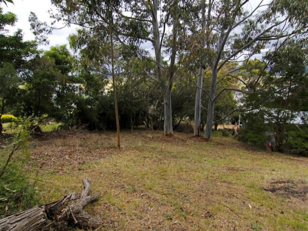 Image of vegetation