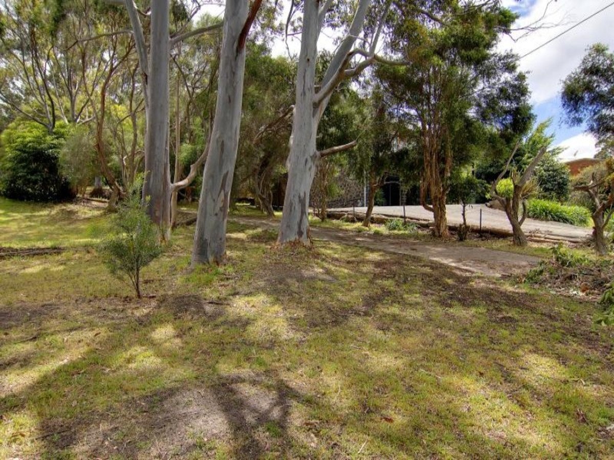 Image of vegetation