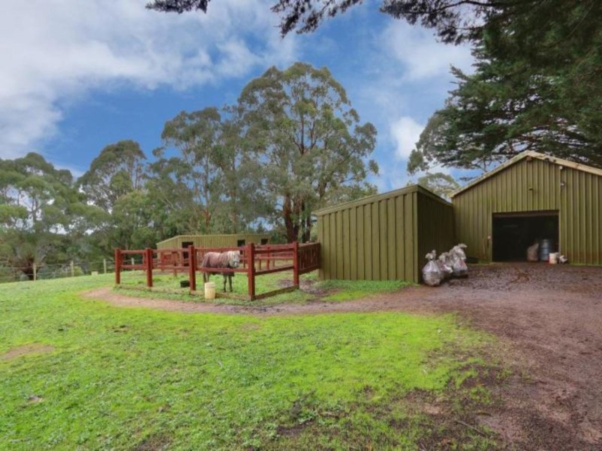 Image of backyard