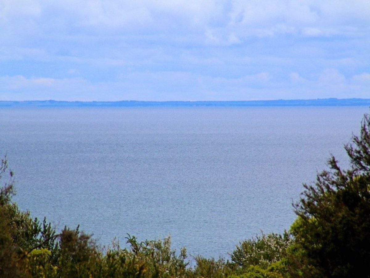 Image of nature