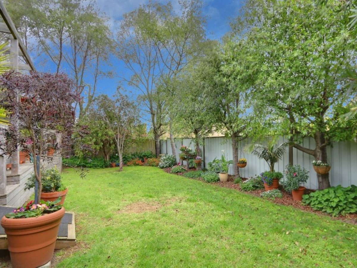 Image of backyard