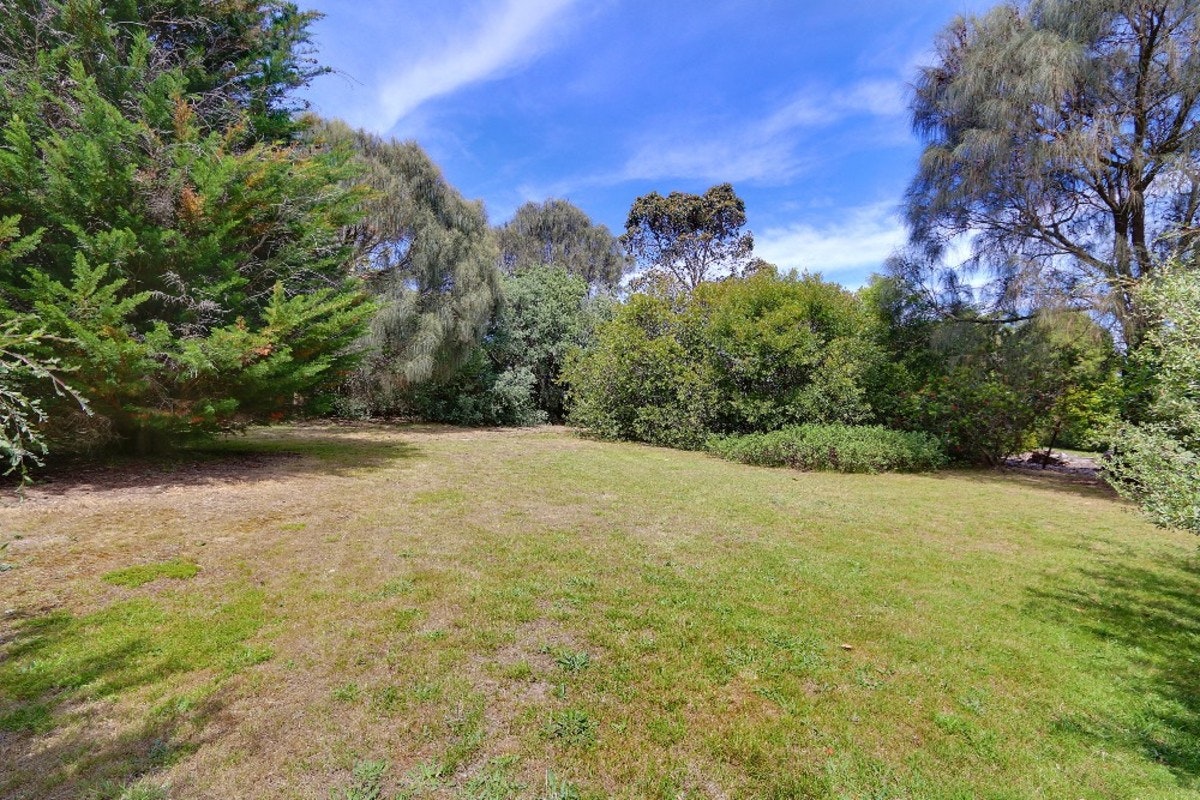 Image of vegetation