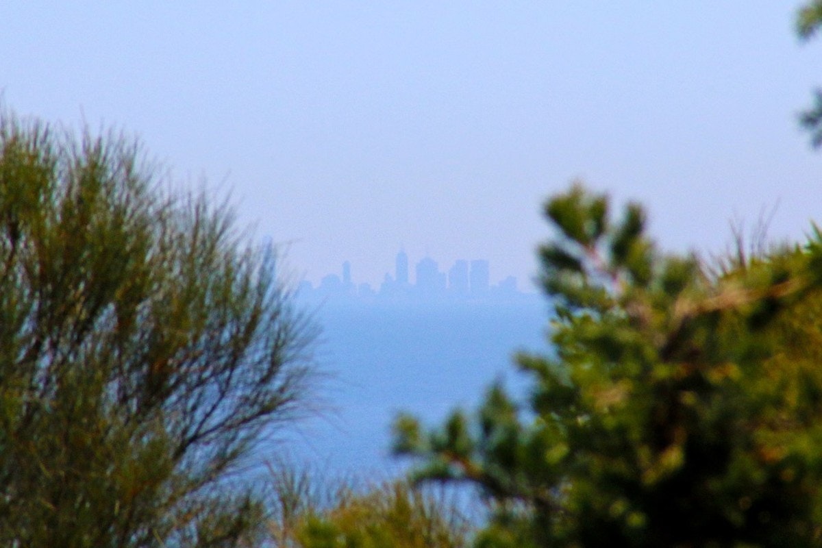 Image of nature