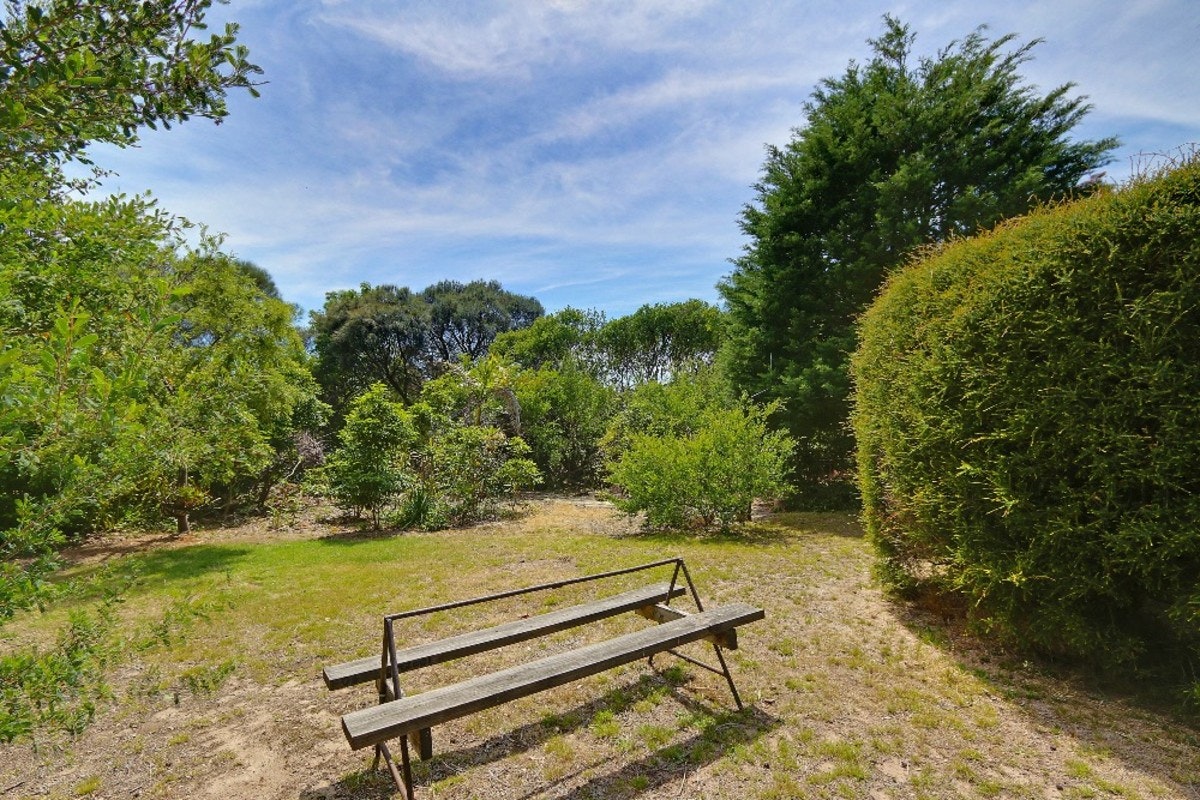Image of bench