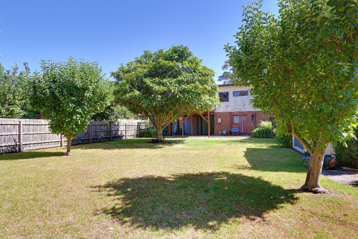 Image of backyard