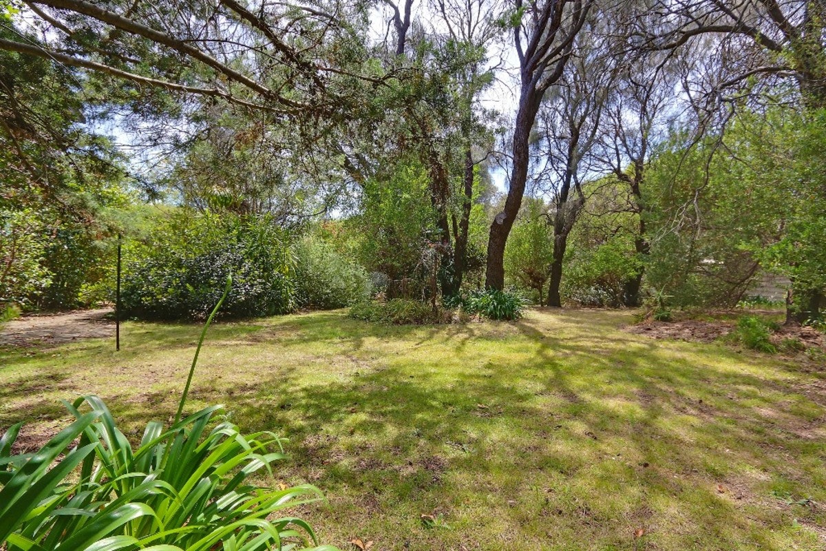 Image of vegetation