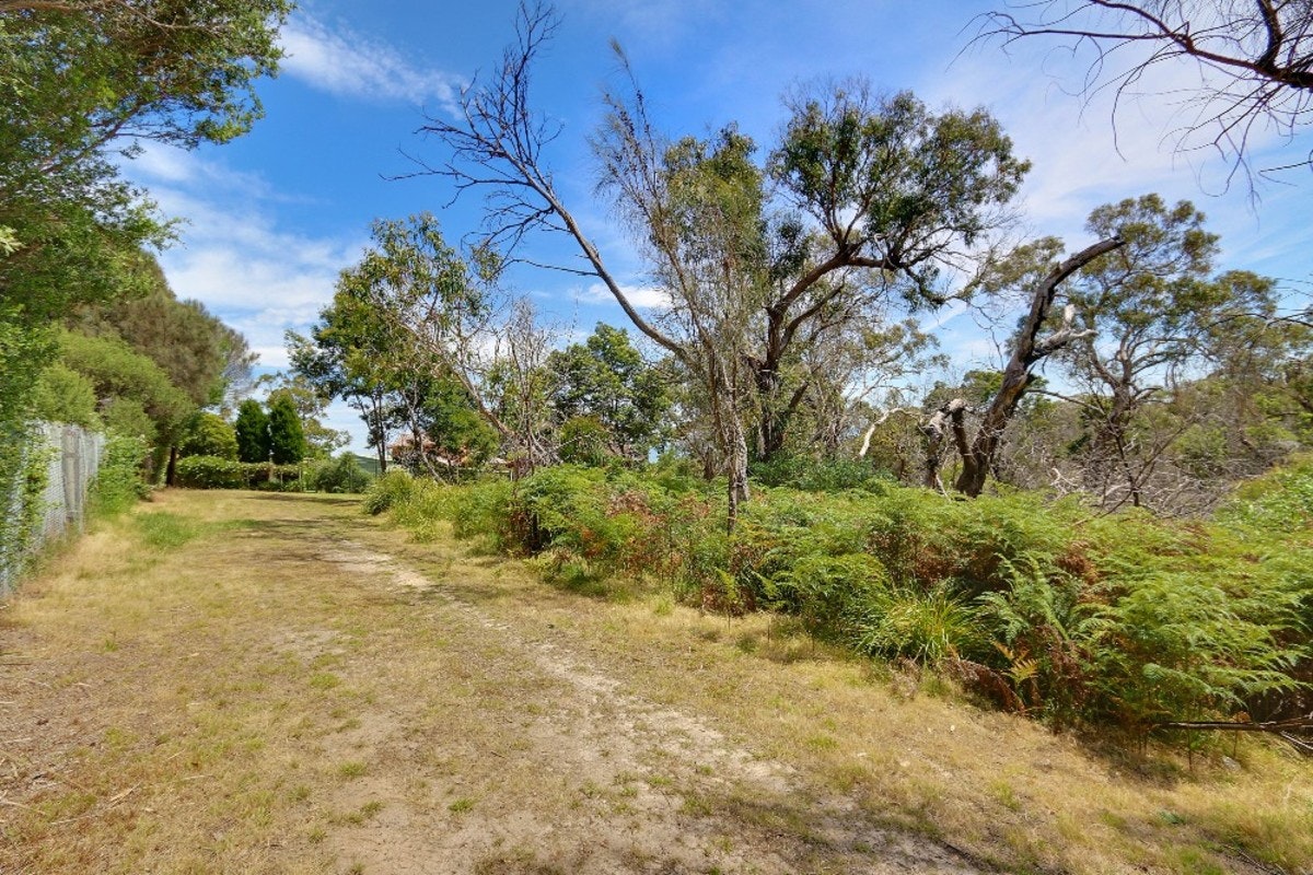 Image of vegetation