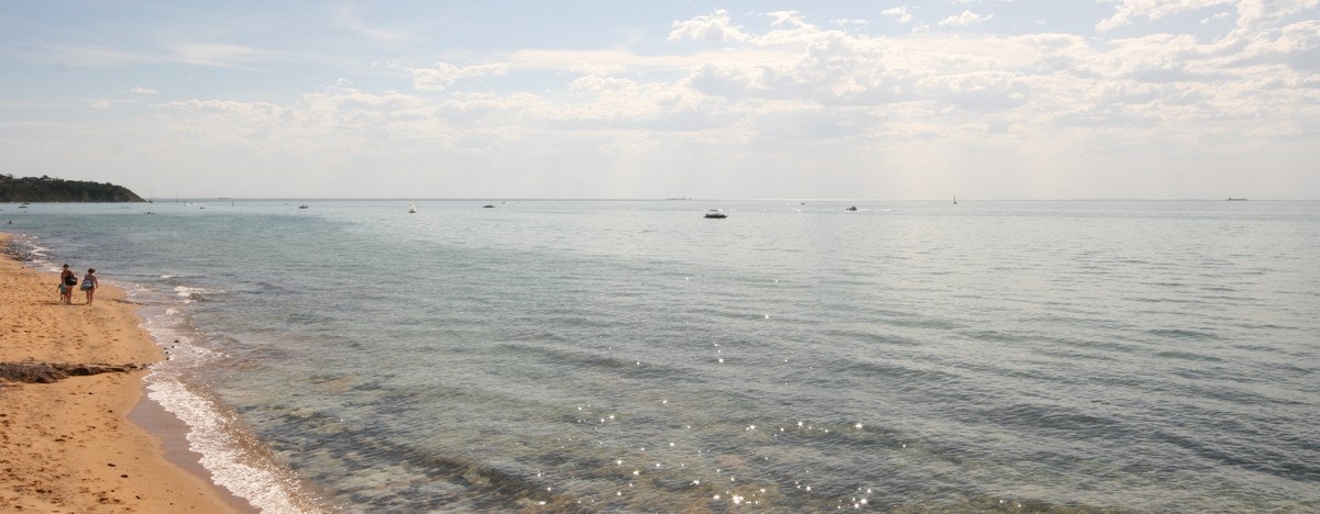 Image of nature
