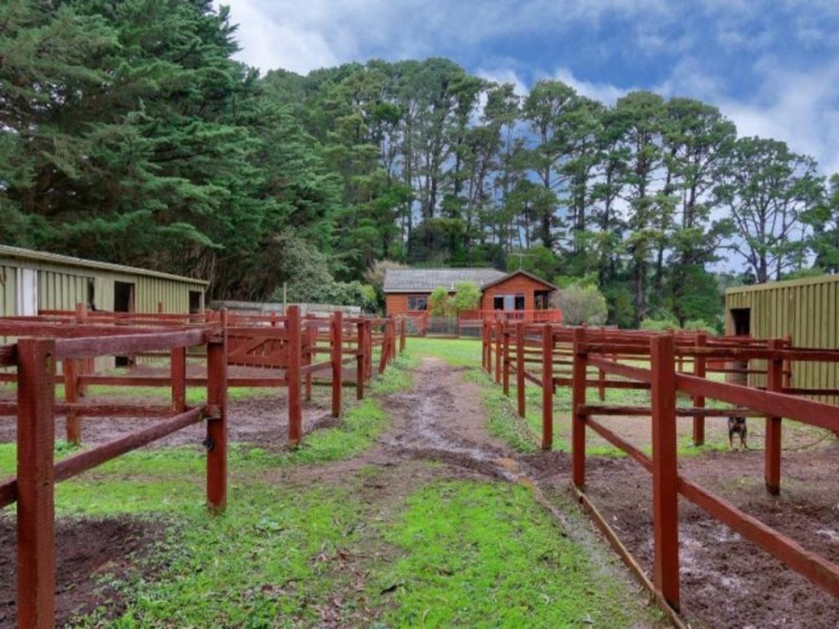 Image of outdoors