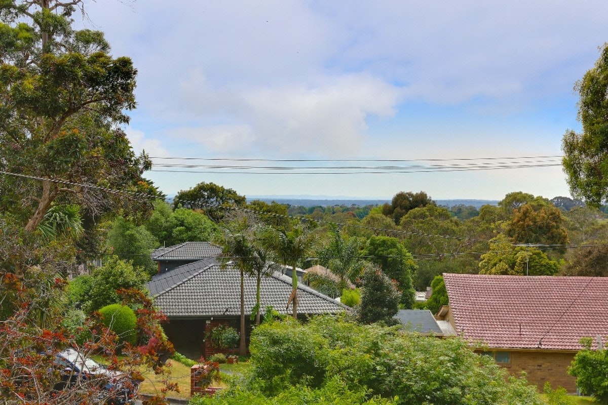 Image of vegetation