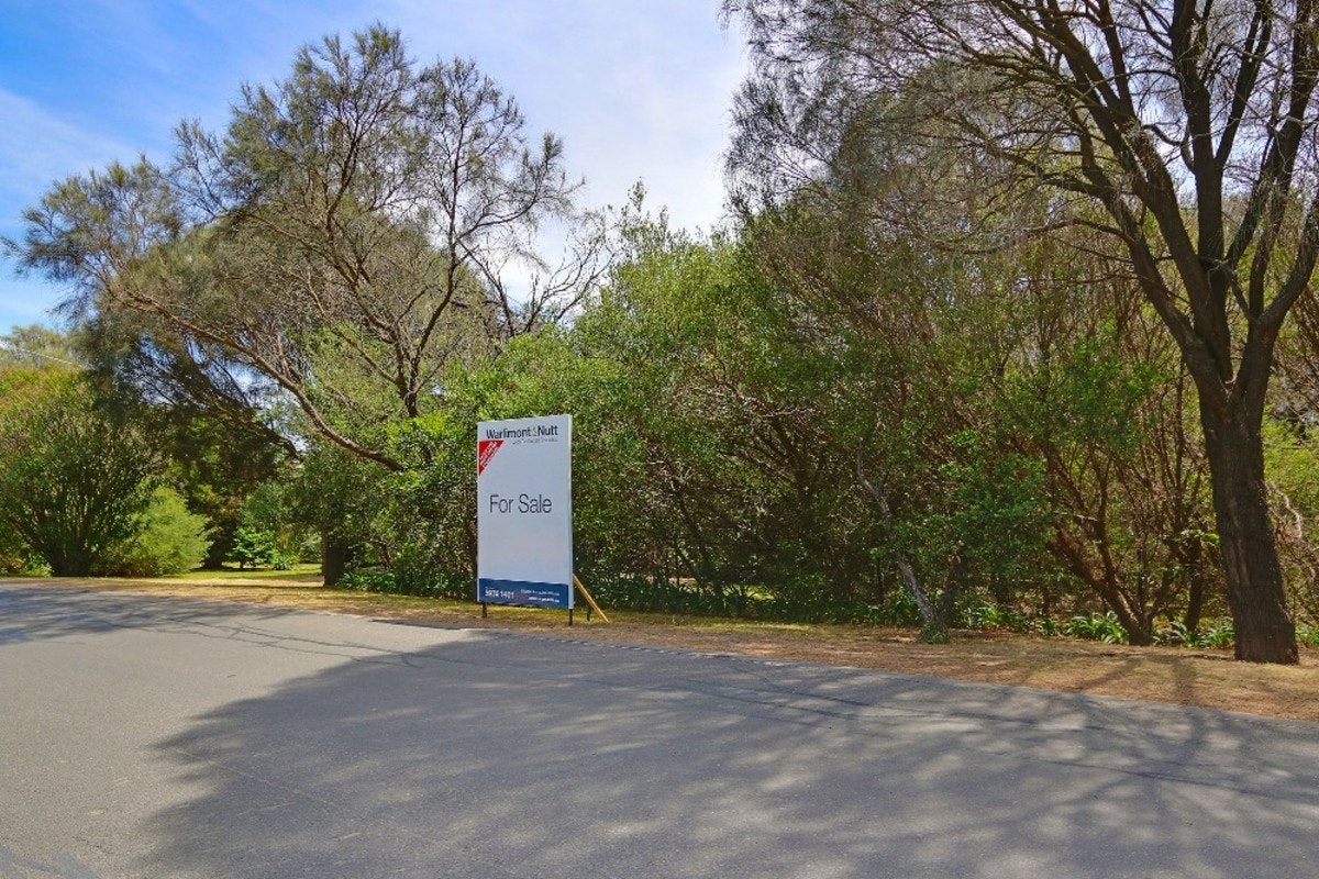Image of vegetation