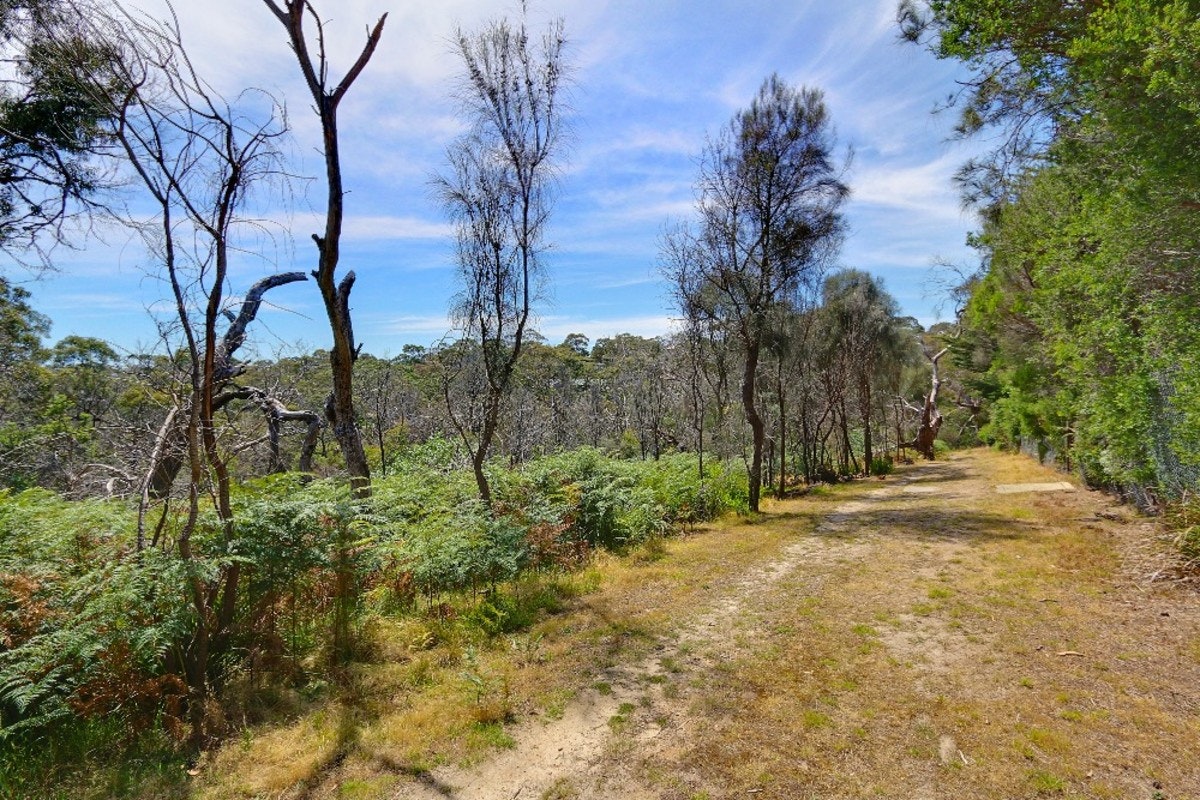 Image of path