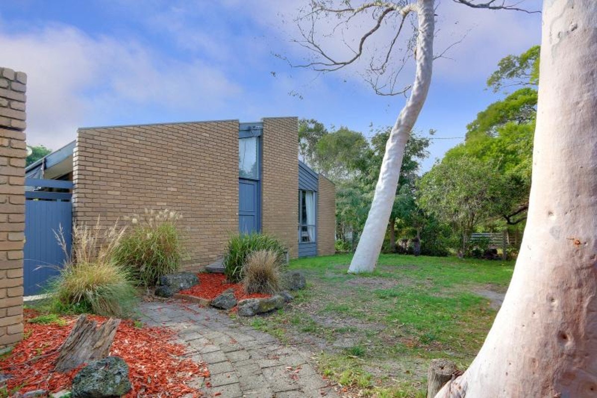 Image of backyard