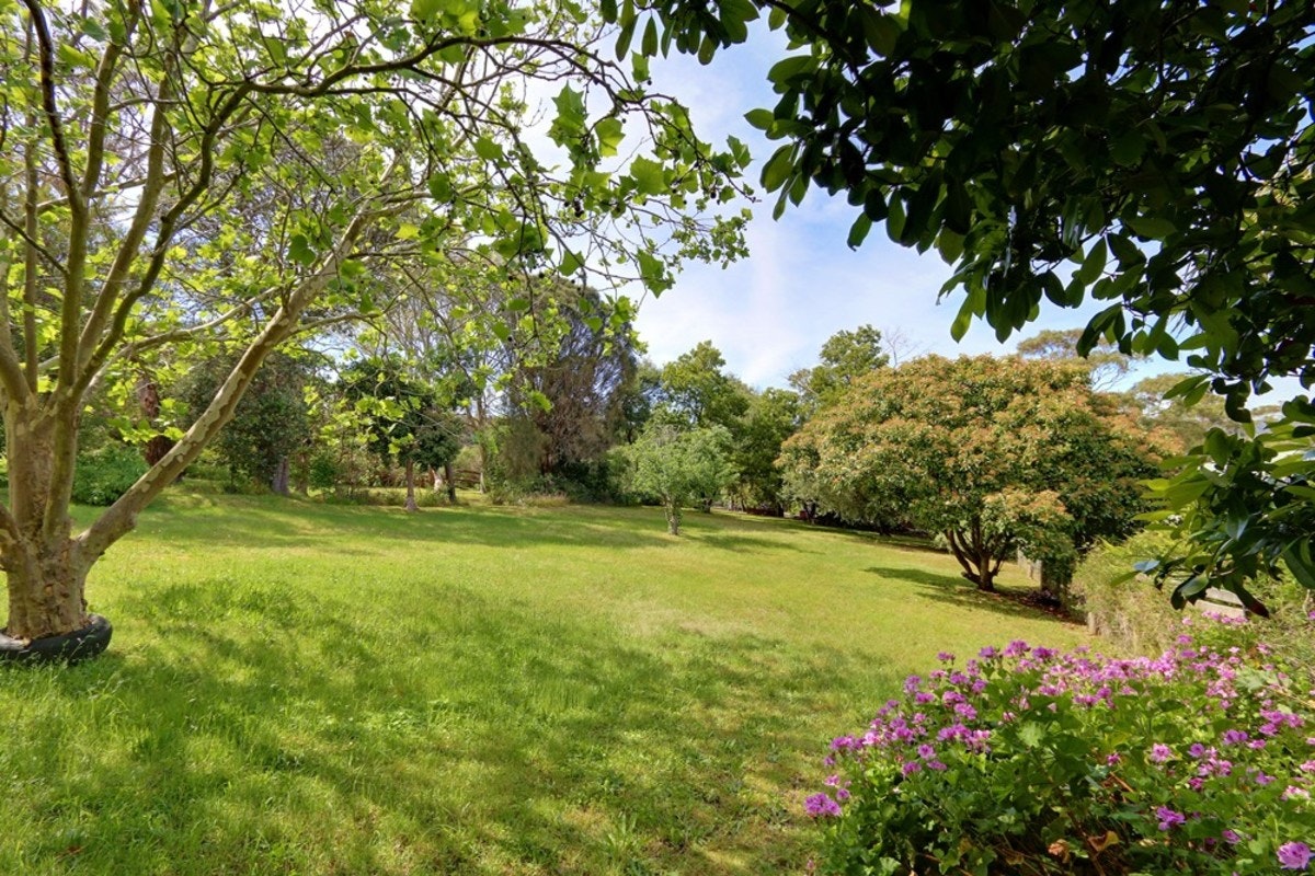 Image of grass