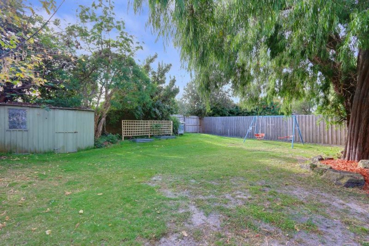 Image of backyard
