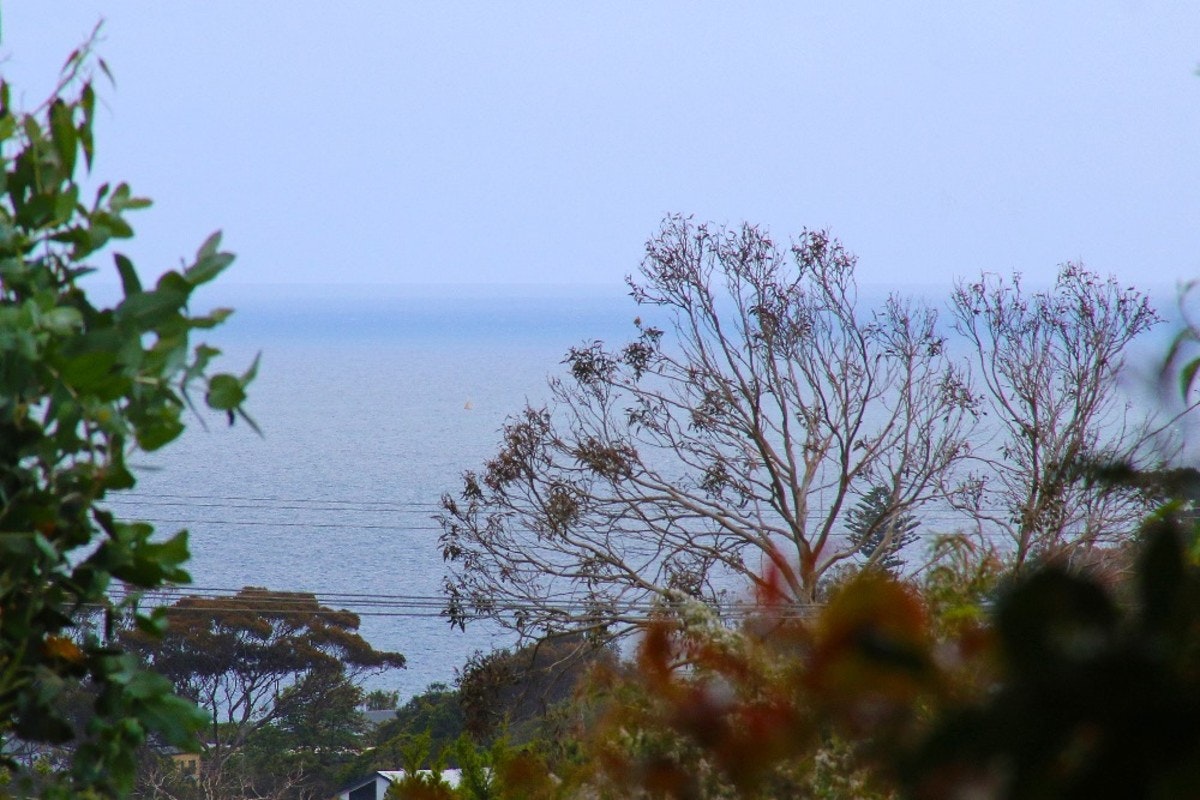 Image of nature