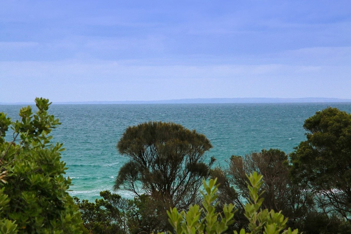 Image of nature