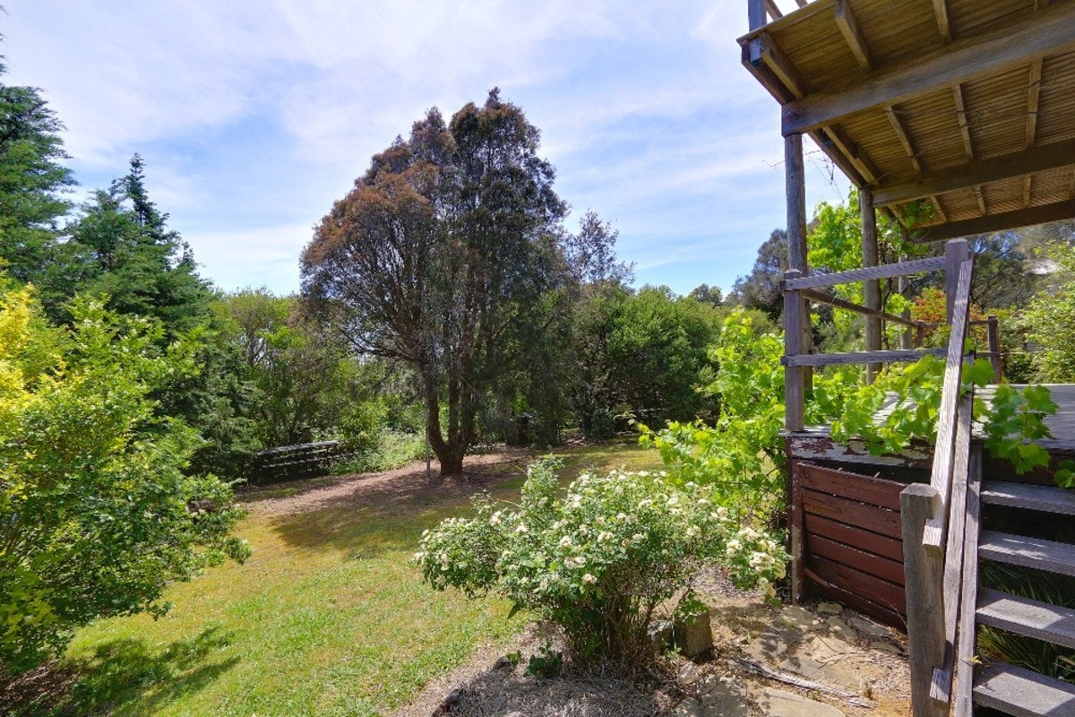 Image of backyard