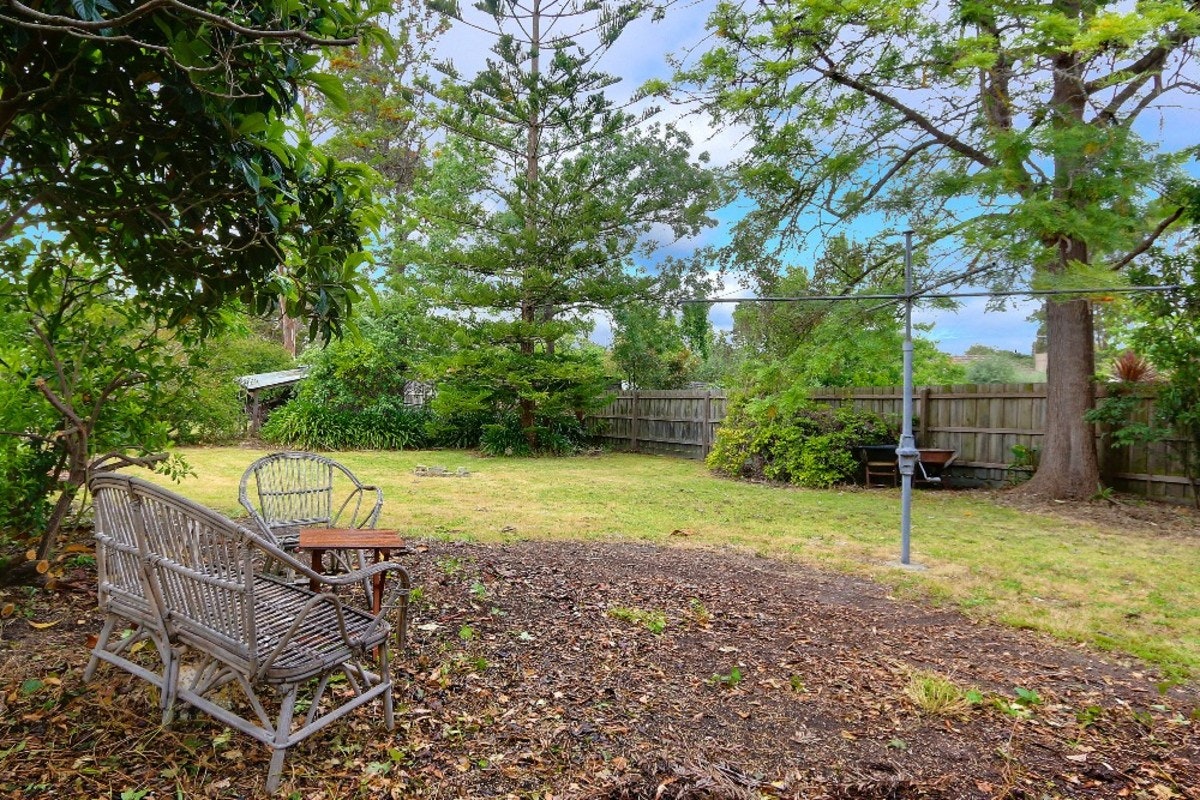 Image of backyard