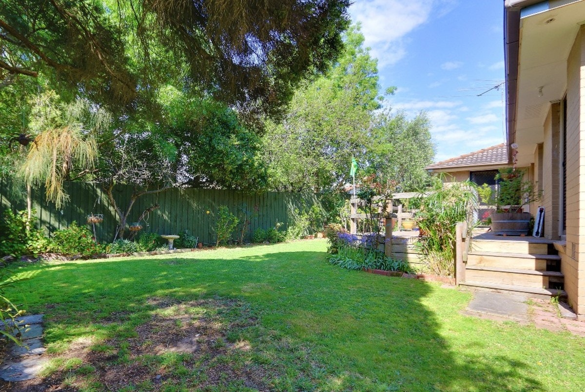 Image of backyard