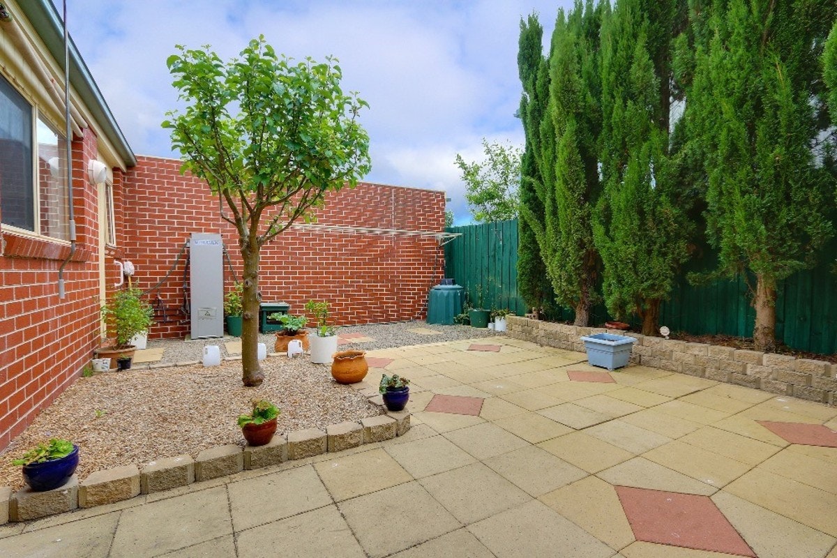 Image of backyard