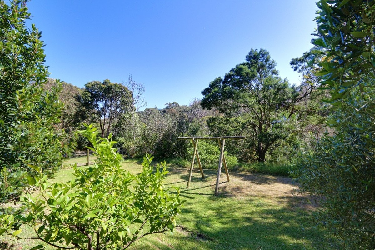 Image of vegetation