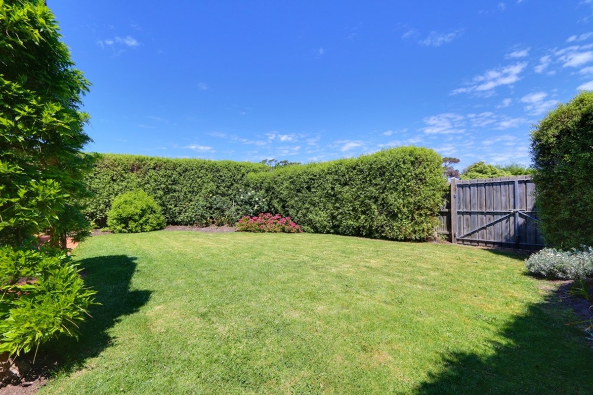 Image of backyard