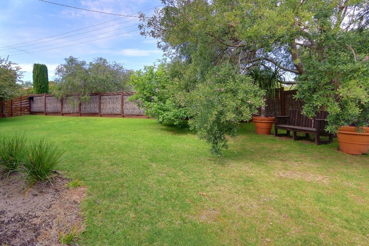 Image of backyard