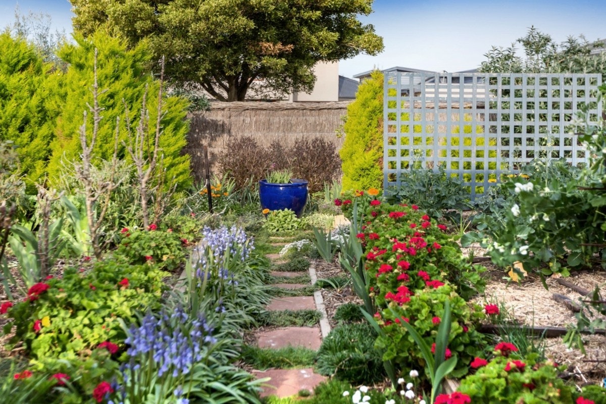 Image of garden