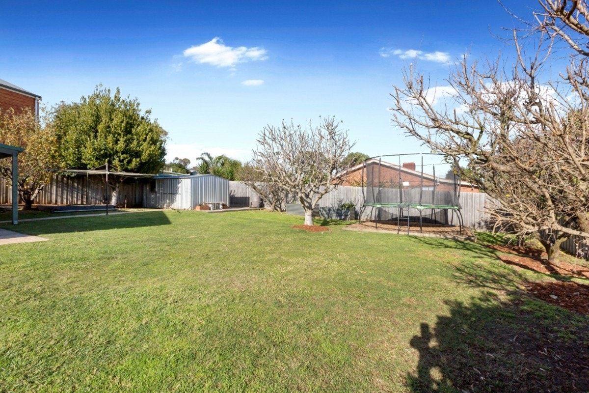 Image of backyard