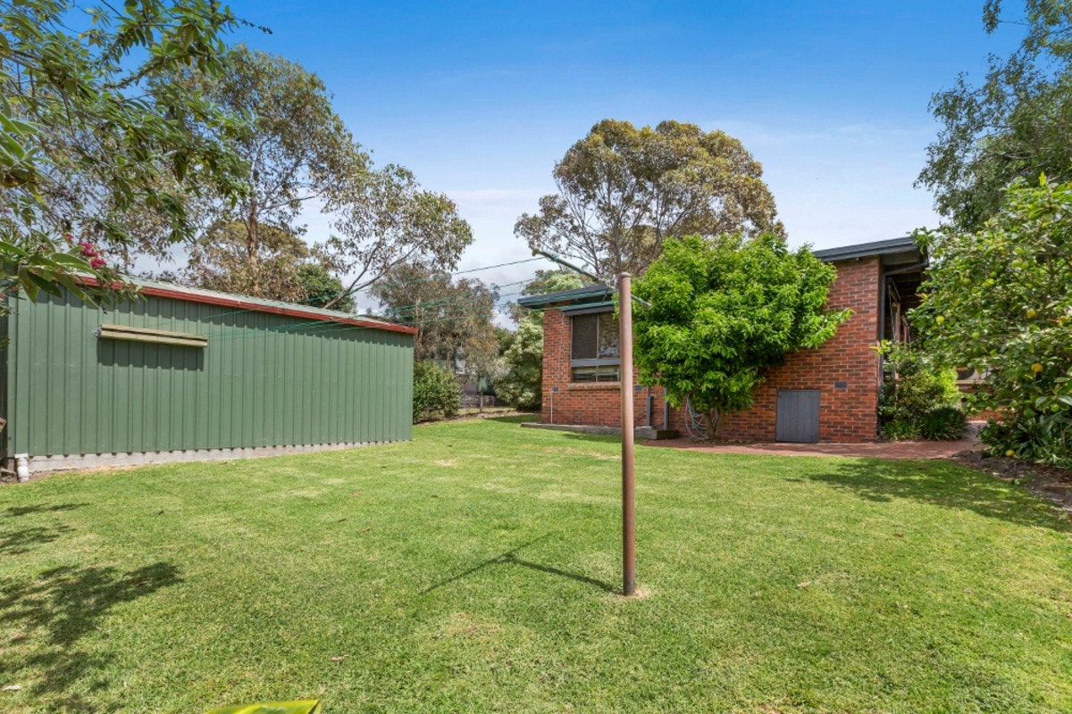 Image of backyard