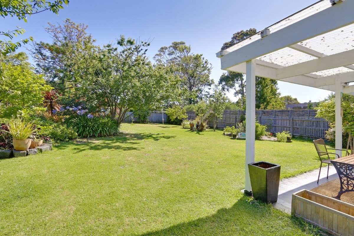 Image of backyard
