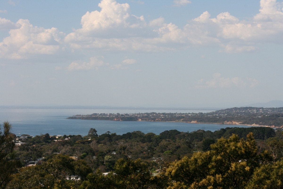 Image of nature