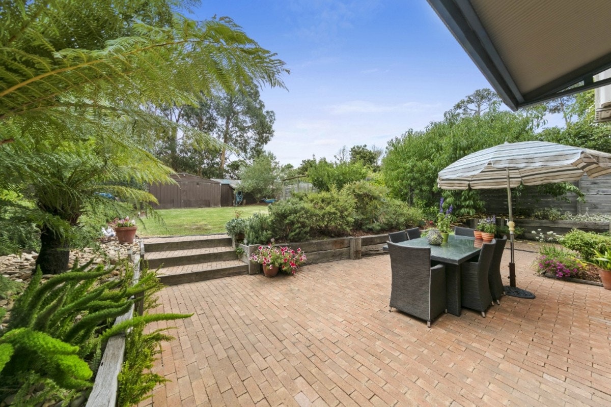 Image of backyard