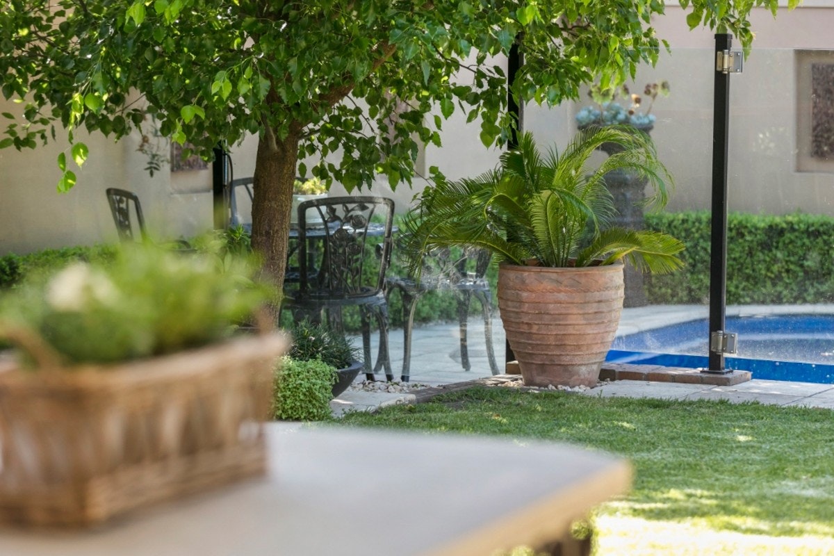 Image of backyard