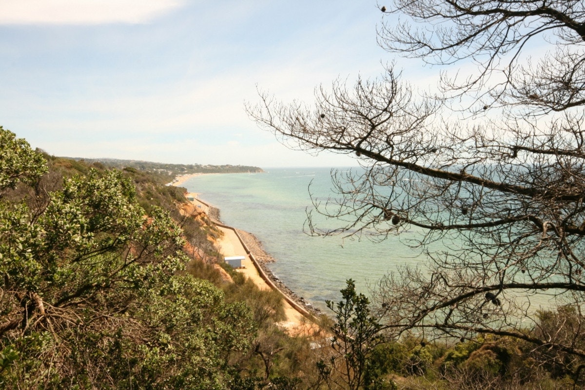 Image of nature