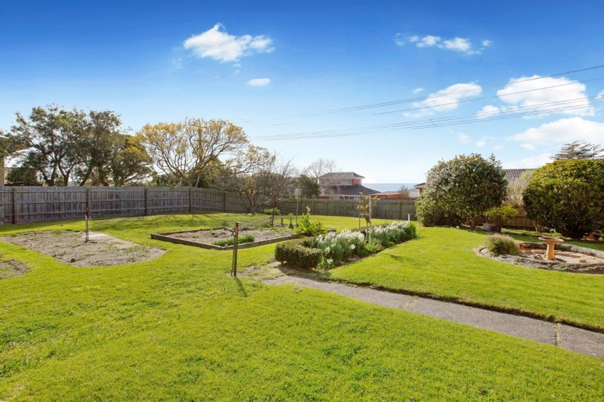 Image of backyard