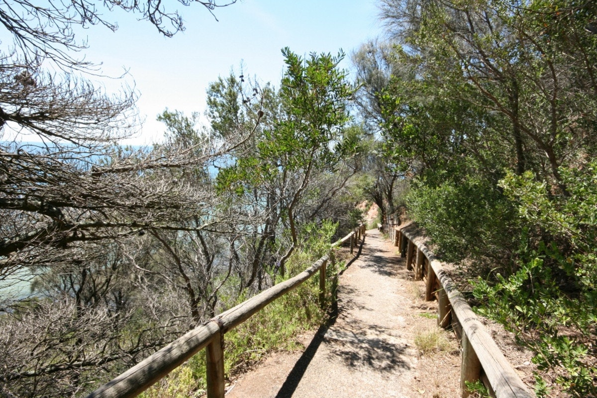 Image of path