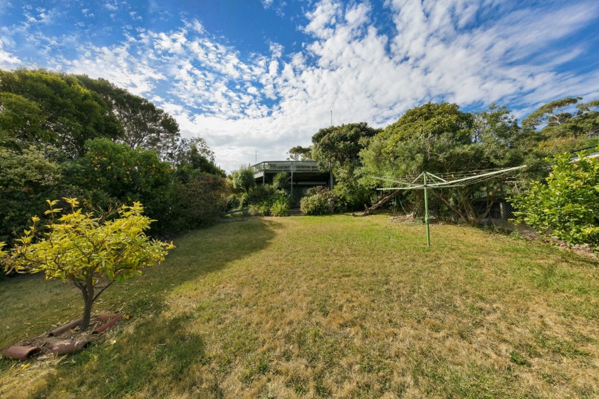 Image of grass