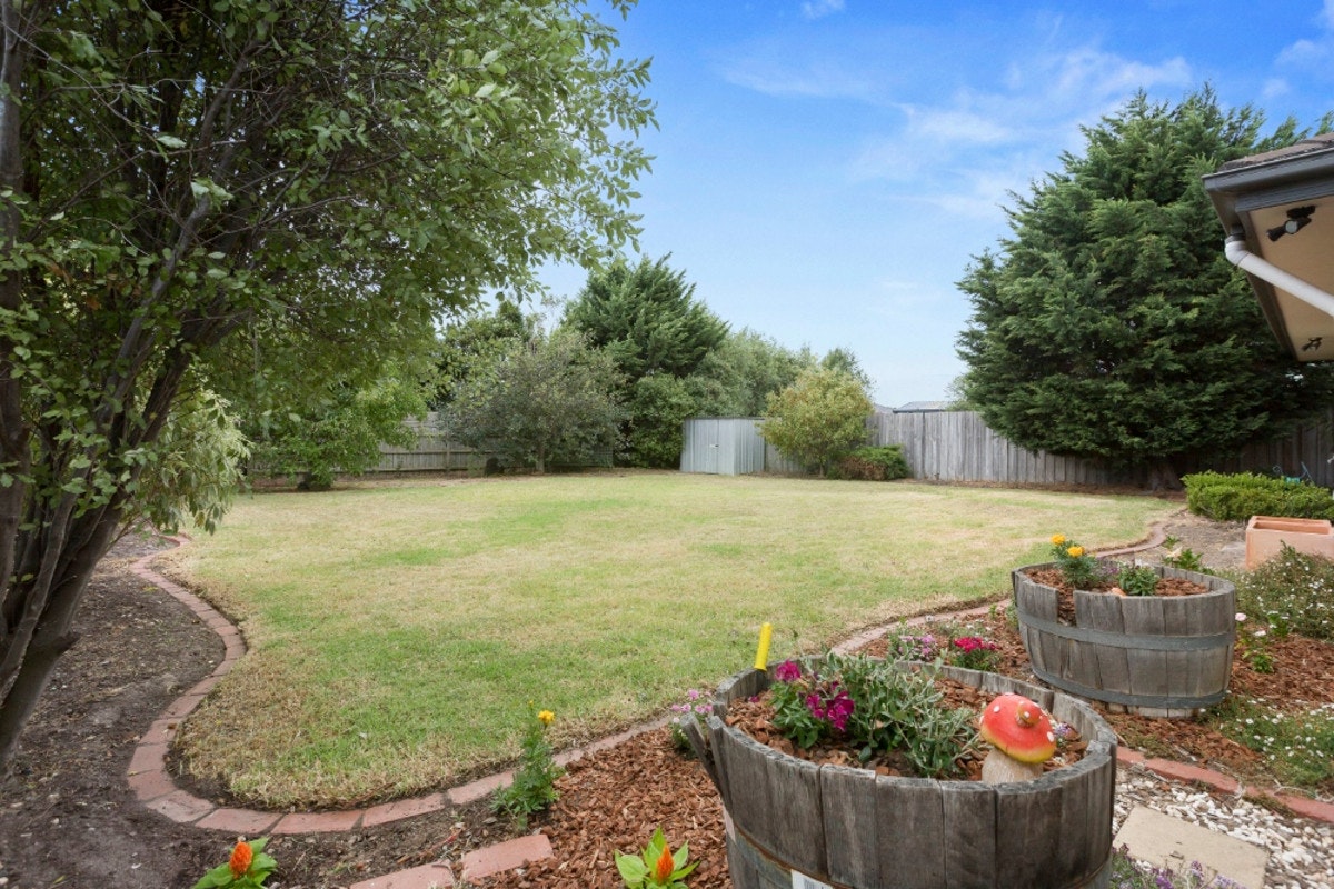 Image of backyard