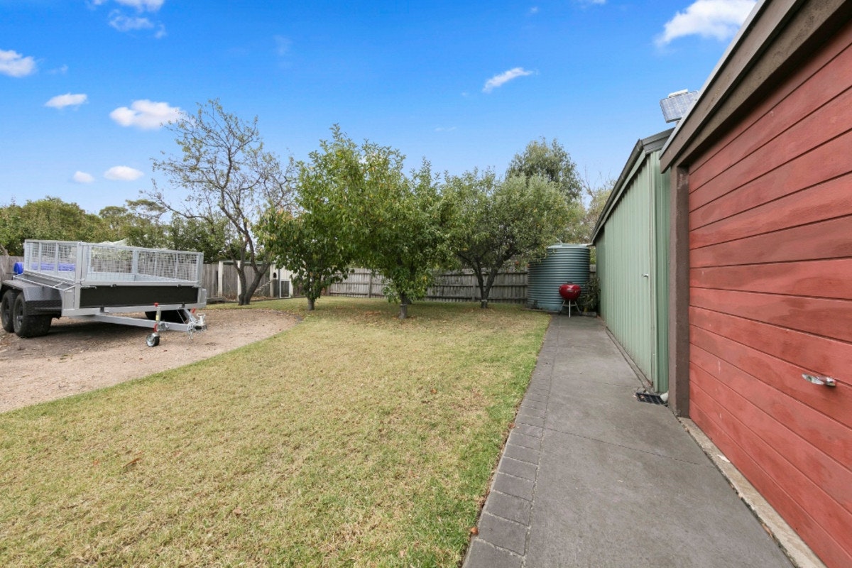 Image of backyard